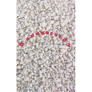 Bắp Trắng Xay làm xôi bắp giã (1kg)