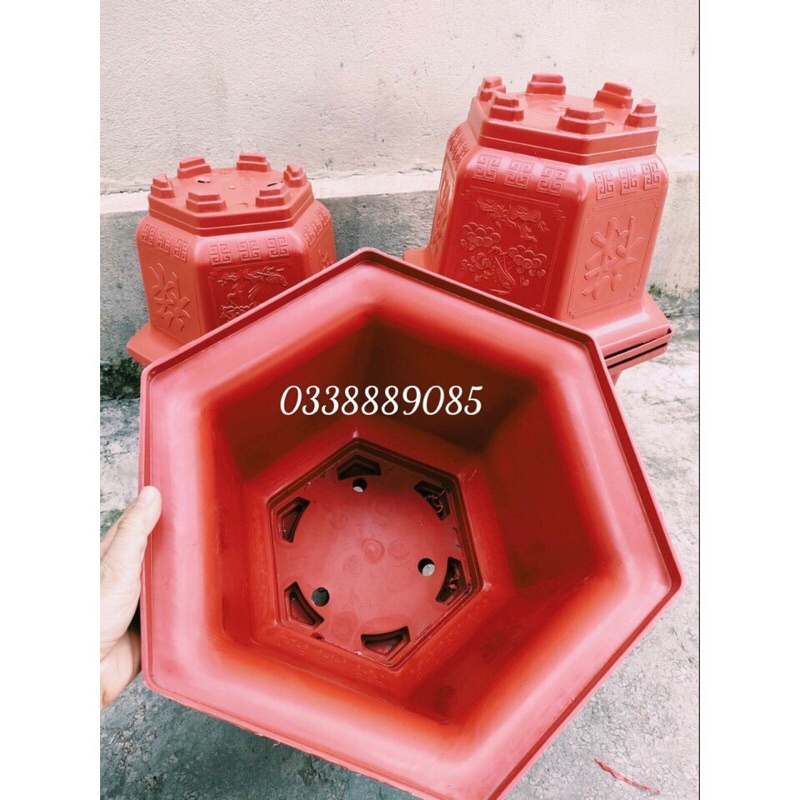 Chậu nhựa lục giác LG330 có  in hình tứ quí trồng cây siêu đẹp - Ảnh thật như hình