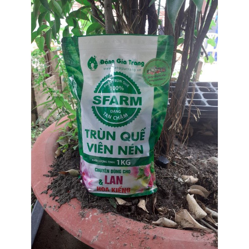 Phân Trùn Quế Viên Nén, Sfarm Đặng Gia Trang Tan Chậm Gói 1 kg Kích Chồi, Tạo Rễ, Hệ Vi Sinh Có Lợi cho Lan, Cây, Hoa