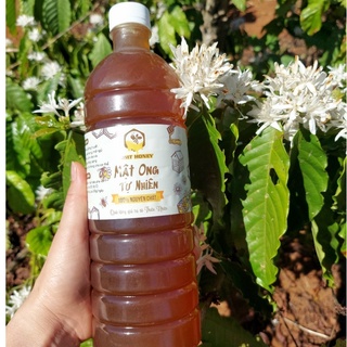 Mật ong rừng - mật ong hoa cà phê nguyên chất 1L