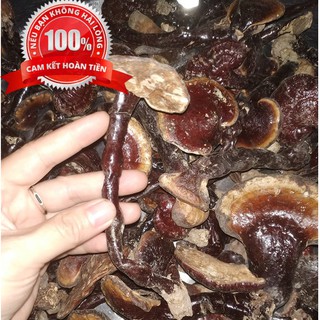 200g nấm linh xanh
