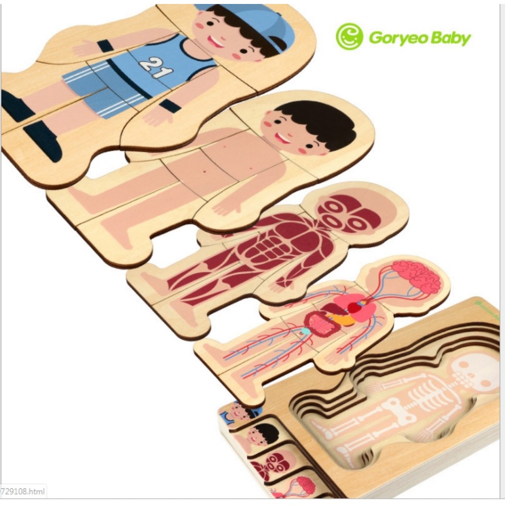 Ghép hình cấu tạo cơ thể người