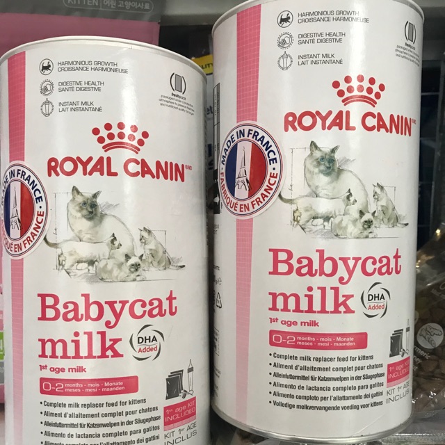 Sữa royal baby cho mèo