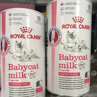 Sữa royal baby cho mèo