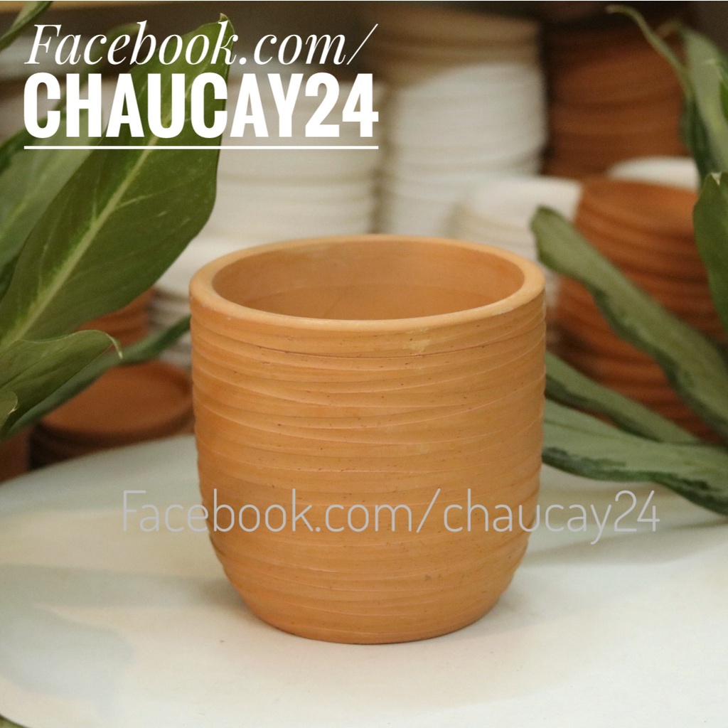 Chậu cây cảnh hình trứng lớn (CHỈ GIAO HCM) trồng cây nội thất, cây kim tiền để bàn