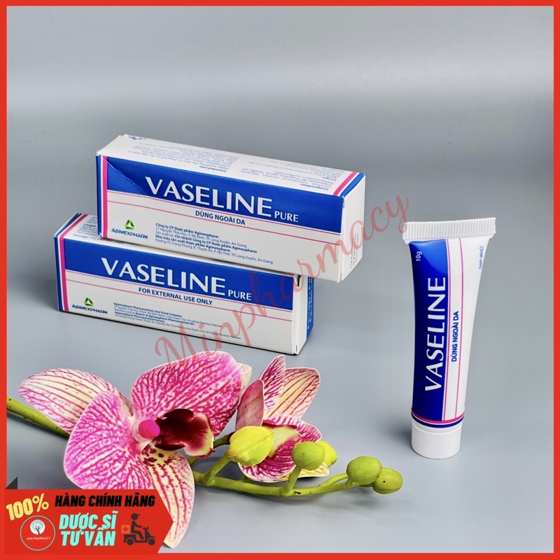 Kem dưỡng ẩm VASELINE Pure Agimexpharm (Tuýp 10g) - Minpharmacy