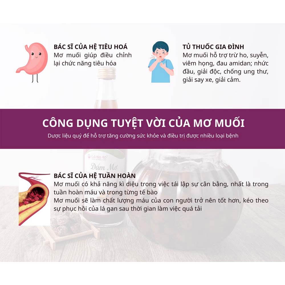 DẤM MƠ MUỐI LÂU NĂM 500ml - LÁ TÍA TÔ