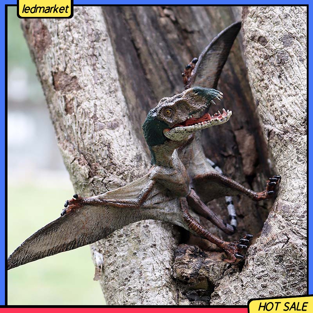 Mô hình đồ chơi khủng long bay dành cho bé yêu