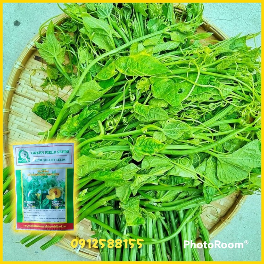 Hạt giống bí ngon siêu đọt CĐX - VTNN BTL