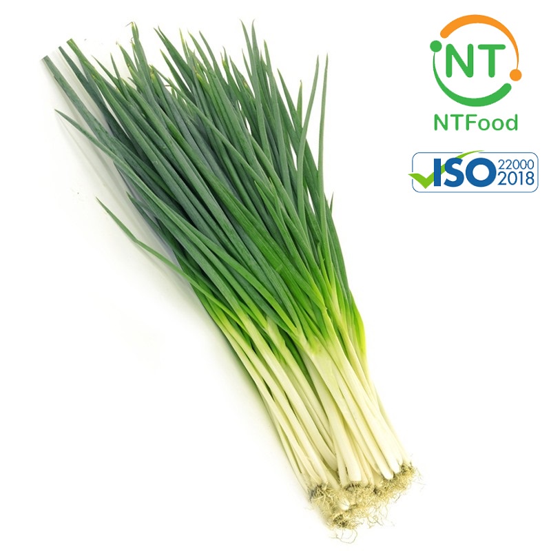 [HCM] Hành lá Đà Lạt NTFood 1 Kg / 500 Gr / 200 Gr - Nhất Tín Food