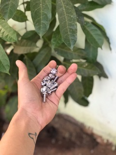 Ốc 6ly2 đầu dù inox salaya