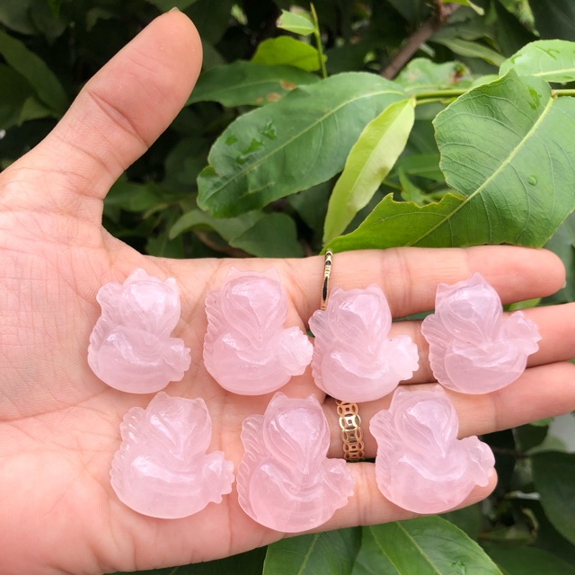 Hồ ly