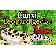 Dinh Dưỡng canxi leopard gecko-Canxi cho thằng lằng da báo-Canxi Max