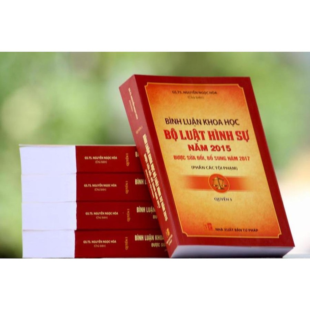 Sách - Bình luận khoa học Bộ luật hình sự năm 2015 được sửa đổi, bổ sung năm 2017 (Phần các tội phạm) - Quyển 1 | BigBuy360 - bigbuy360.vn