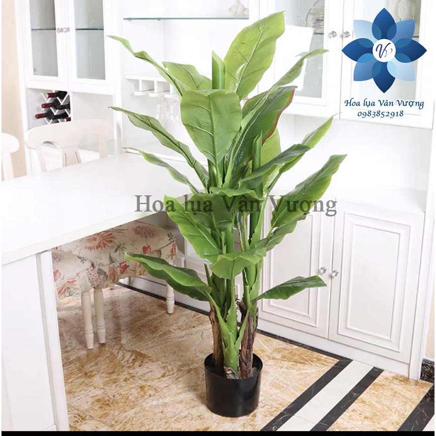 Cây Giả 🌺 Cây Chuối Cảnh Cao 1,7m