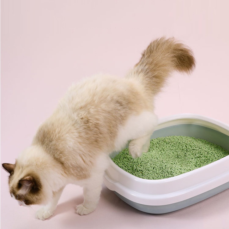 Khay Vệ Sinh Cho Mèo Đa Dạng Màu Sắc, 2 Size Lớn &amp; Nhỏ Tặng Kèm Xẻng KVS4048 MIAOCAT