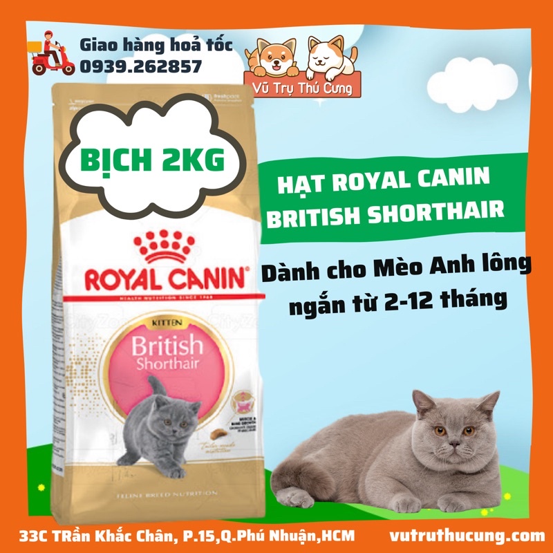 [2Kg] Thức ăn hạt cho mèo- Royal Canin British Shorthair Kitten- Hạt Canin cho Mèo Anh Lông Ngắn dưới 12 tháng