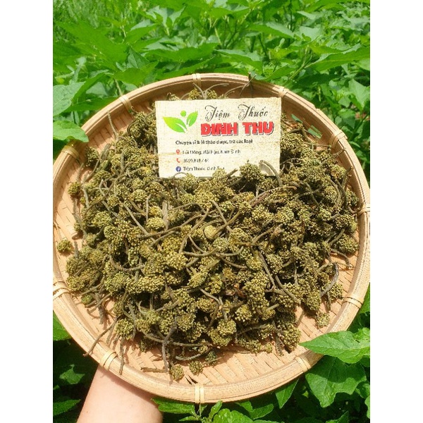 Nụ Hoa Tam Thất Khô (Ảnh Thật 100%)