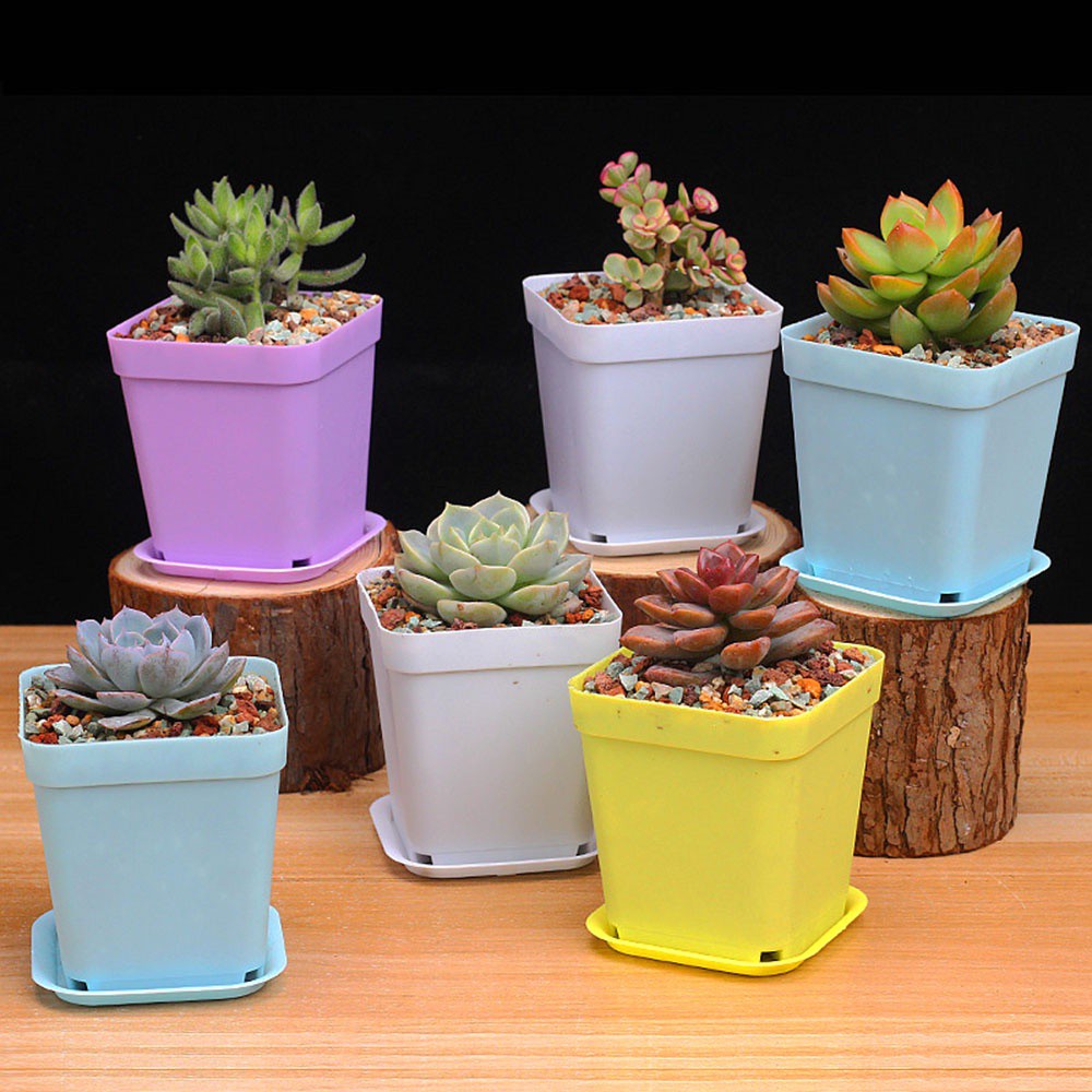 Chậu Nhựa Trồng Cây Mini Nhiều Màu