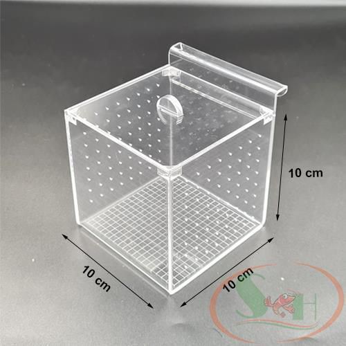 Box mica Taiwan DIY lồng tách dưỡng cây cá tép sinh sản móc treo thành hồ