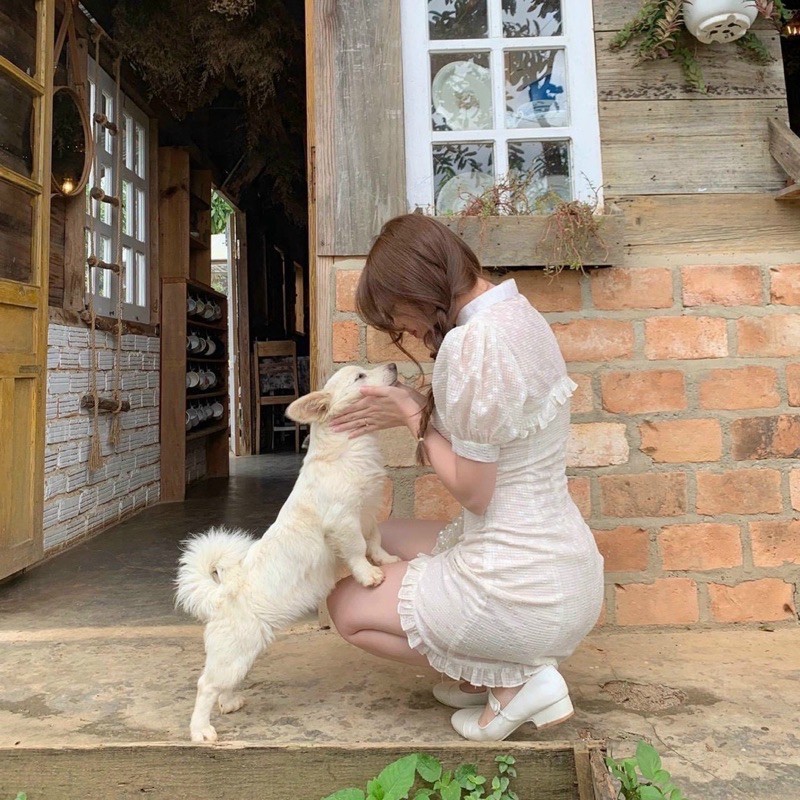 ĐẦM TÀU VOAN BÈO | BigBuy360 - bigbuy360.vn