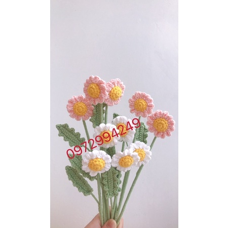 Hoa len handmade-Cúc hoạ mi