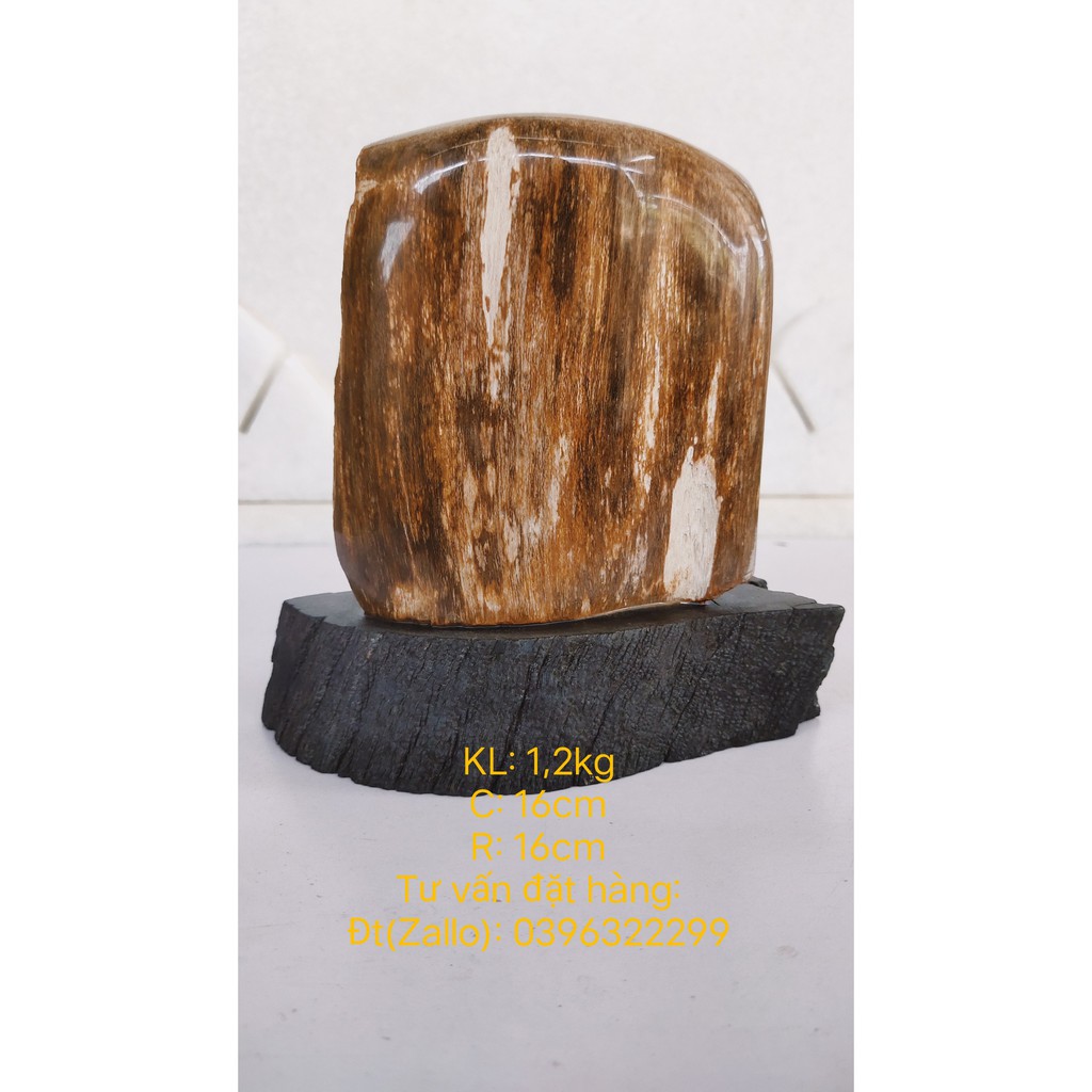 Gỗ Hóa Thạch 100% tự nhiên-Xuất Xứ Gia Lai Việt Nam-Giá gốc tại xưởng-Khối lượng: 1.2kg -Cao: 16cm -Rộng: 16cm