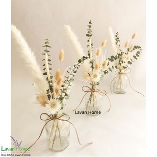 Hoa khô trang trí, cỏ đuôi thỏ decor, hoa khô decor chụp ảnh, trang trí bình gốm sứ, lọ thủy tinh, phòng khách đẹp
