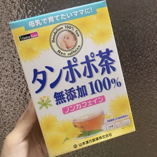 Trà bồ công anh lợi sữa cho mẹ và bé.