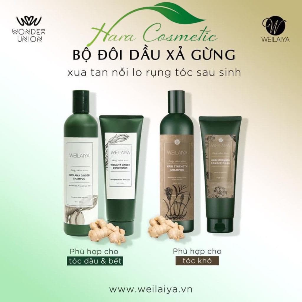 Bộ Dầu Gội Xả Gừng & Gừng Thuốc Bắc | BigBuy360 - bigbuy360.vn