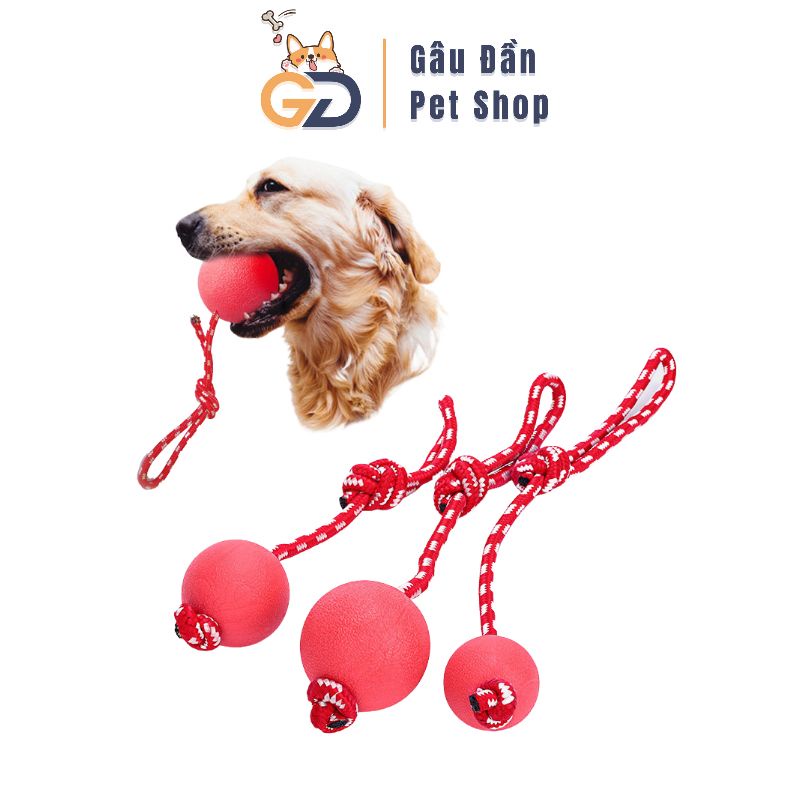 Bóng Huấn Luyện Chó Mèo - Bóng Dây Huấn Luyện Thú Cưng