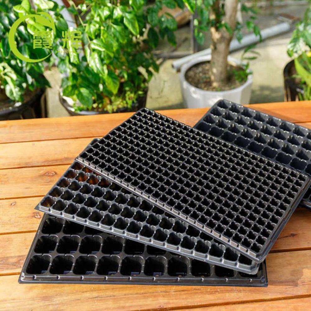 Set 10 Khay Nhựa Trồng Cây 32 / 72 / 50 / 105 / 128 / 200 Ô