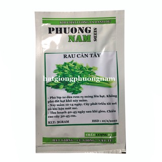 Hạt giống Cần tây