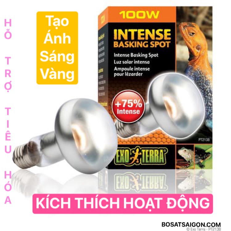 ĐÈN SƯỞI UVA CHO BÒ SÁT, THÚ CƯNG, CHIM, KÍCH THÍCH HOẠT ĐỘNG, SINH SẢN [ 75W - 100W - 150W ]. INTENSE Hãng EXO TERRA
