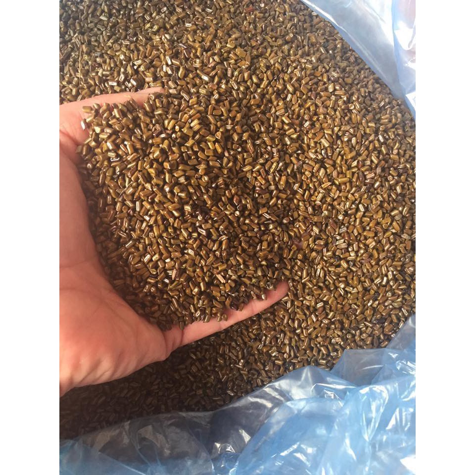 Combo 5kg hạt muồng muồng xúc cát