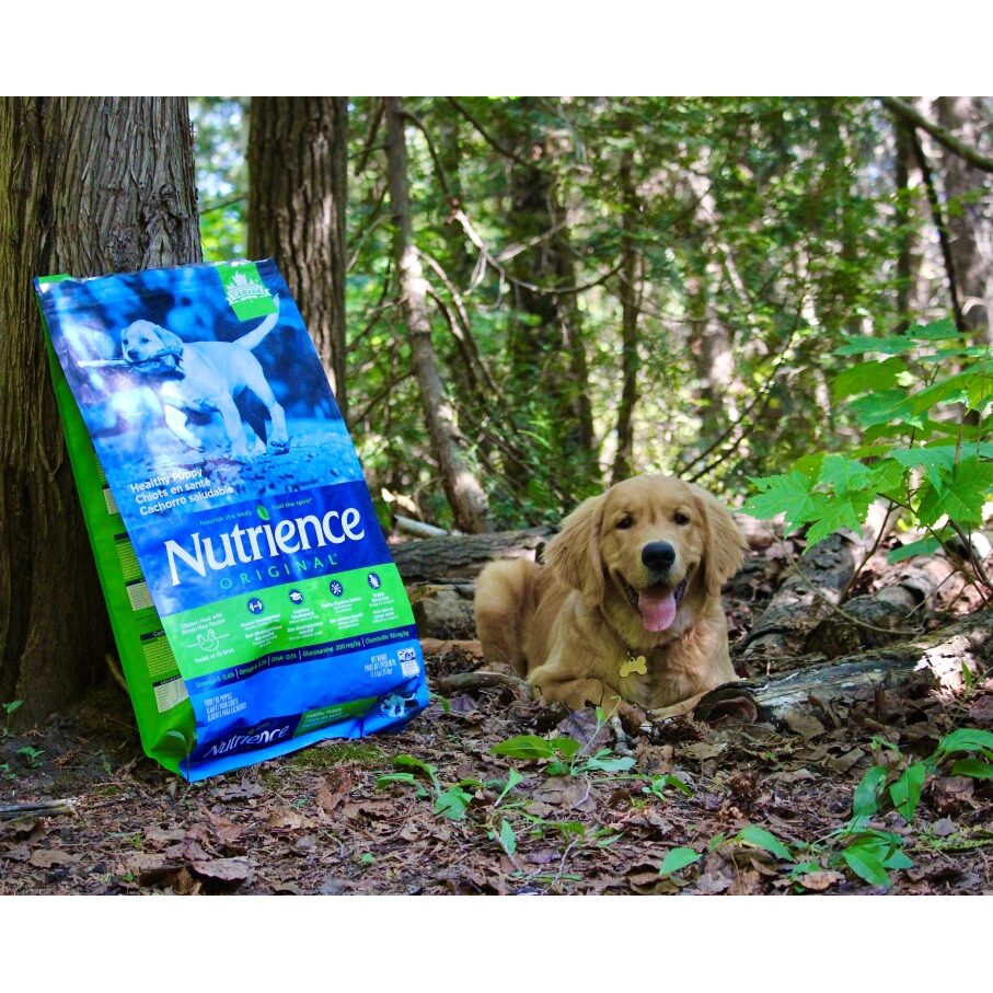 Thức Ăn Hạt Nutrience Infusion Cho Chó Con Dưới 12 Tháng - Thịt Gà, Rau Củ Quả Tự Nhiên