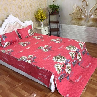 Sét chăn ga gối trần bông