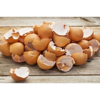 Vỏ trứng gà, bổ sung canxi, ngừa ốc sên - 1kg
