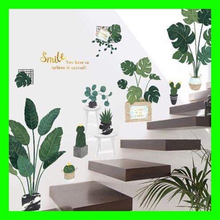 Decal dán tường chậu cây nhiệt đới size to