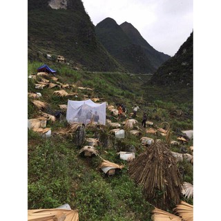 1 lít MẬT ONG BẠC HÀ_ĐỒNG VĂN, HÀ GIANG
