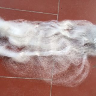 Lưới 3 màn bắt cá rô, cá diếc