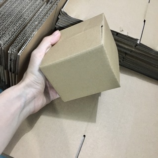 20 Thùng Carton 10*10*8