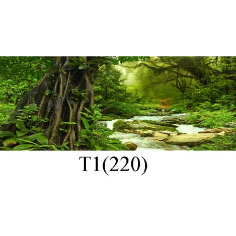 Tranh dán bể cá có keo sẵn nhiều kích thướt