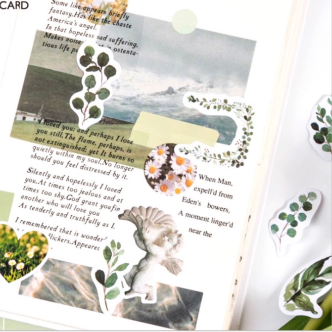 Hộp 46 miếng sticker mẫu vòng lá cây xanh