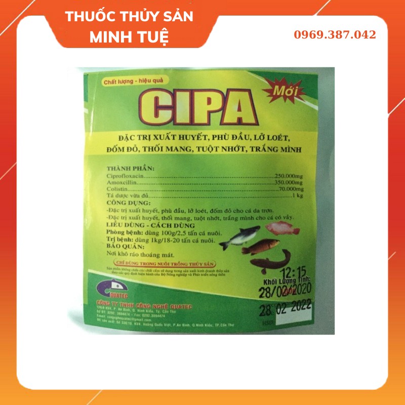 [TẶNG MÃ 50K] CIPA Đặc trị xuất huyết, phù đầu, lở loét, đốm đỏ, thối mang trên cá hiệu quả cao -Thuốc Thủy Sản Minh Tuệ