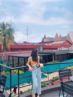 Túi bao tử  ánh bạc