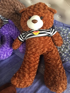 Gấu teddy khổ vải 1m