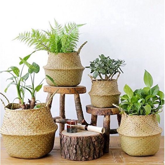 Giỏ Cói trồng cây, đựng quần áo/decor tự nhiên