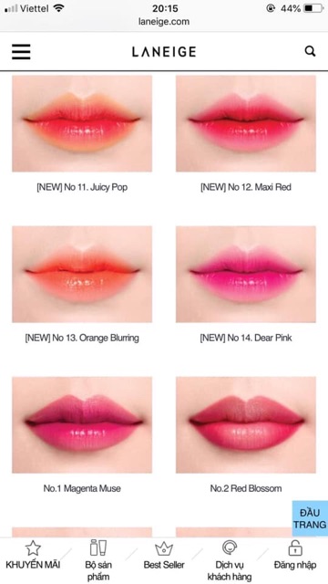 Son Laneige Two Tone Lip Bar