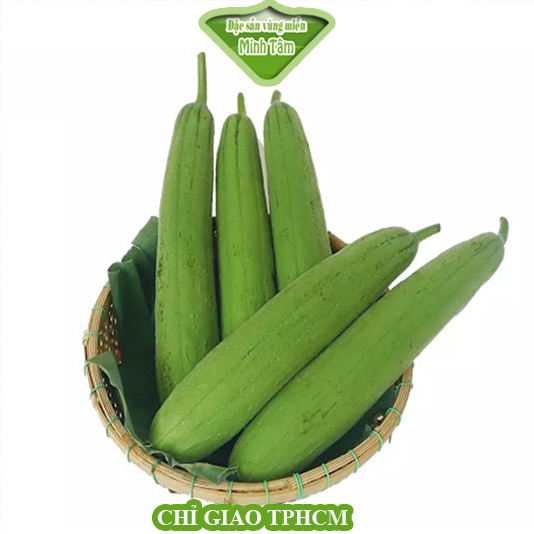 Mướp ngọt tươi ngon Đà lạt [CHỈ GIAO TP.HCM]